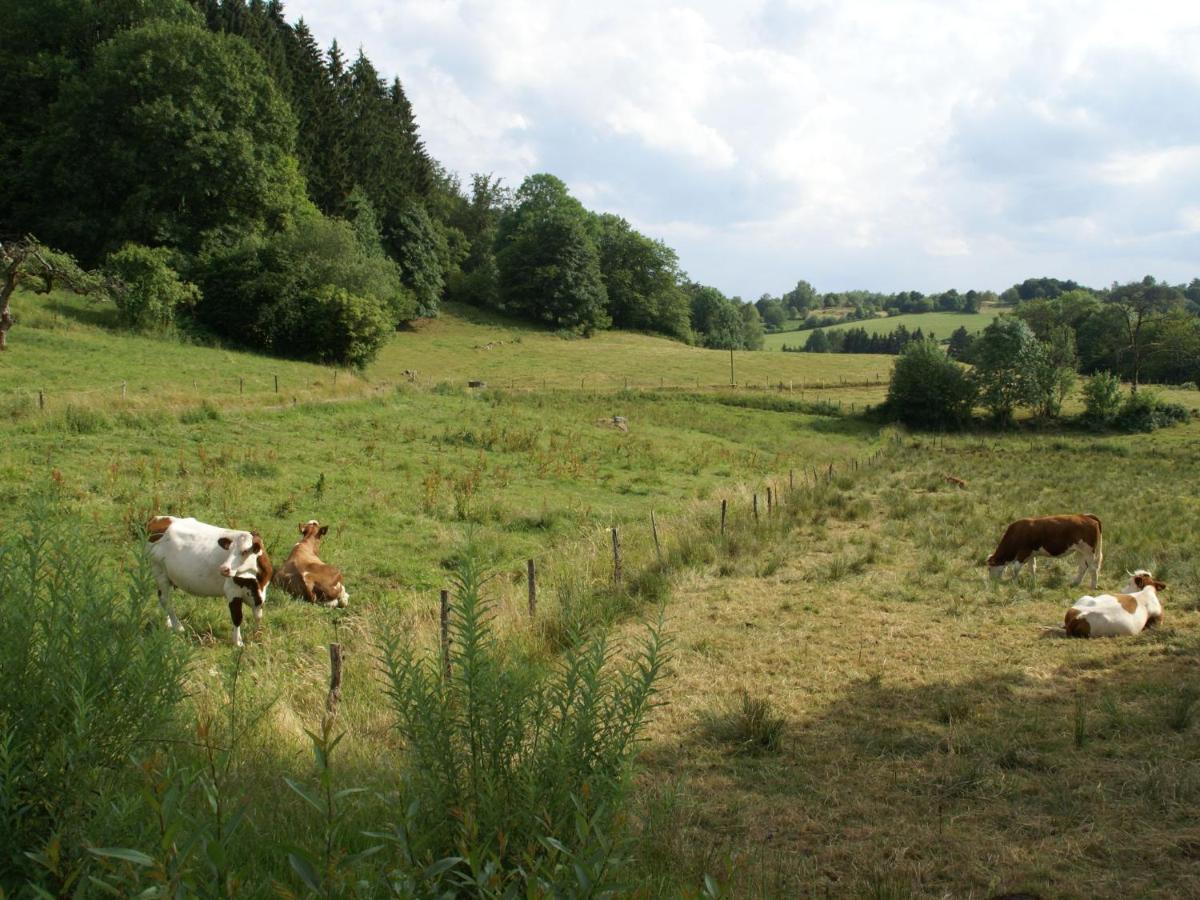 Spacious Near The Forest * Esmoulieres